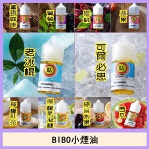 BIBO經典系列主機小煙油30ML