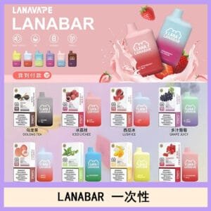 LANA BAR可充电一次性電子煙霧化5000口(3.0%)