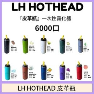 LH HOTHEAD皮革瓶電子煙可充電6000口一次性