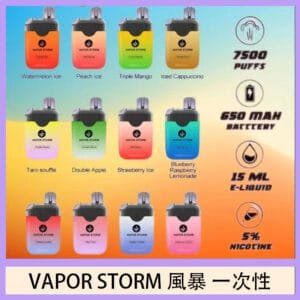 Vapor Storm風暴電子煙7500口（5%）一次性