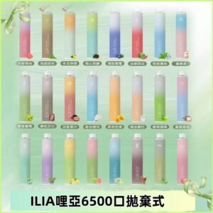ILIA BAR 4 哩啞一次性拋棄式電子煙｜6500口大容量