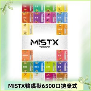 MIST X 鴨嘴獸6500口拋棄式電子煙#台灣現貨#