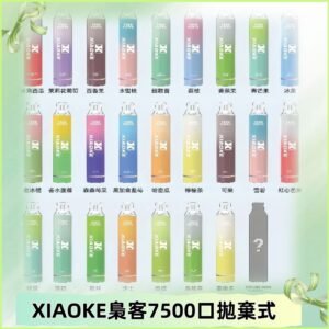 梟客XIAOKE|7500口可發光拋棄式電子煙 跑馬燈一次性